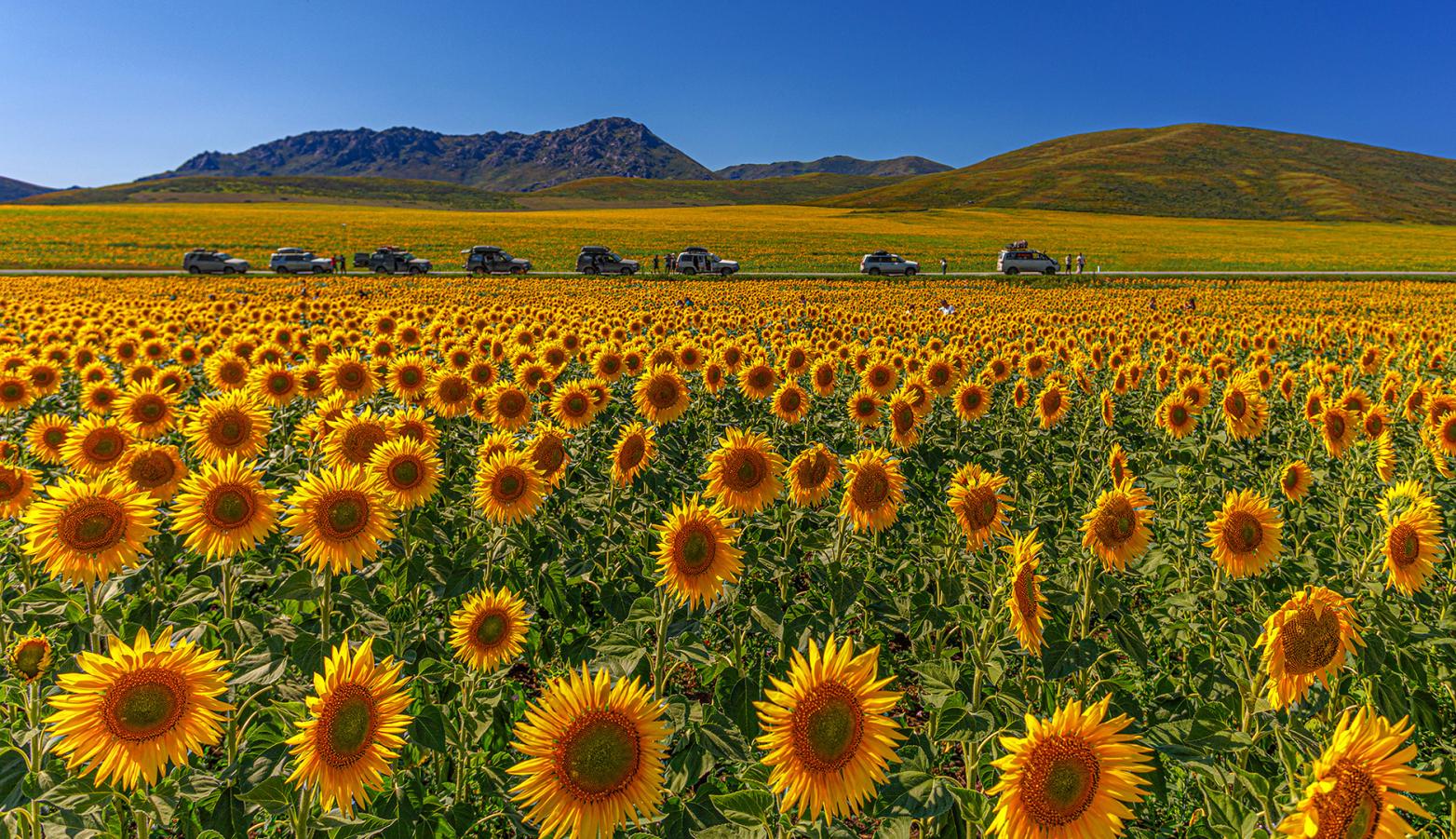 on the yellow road