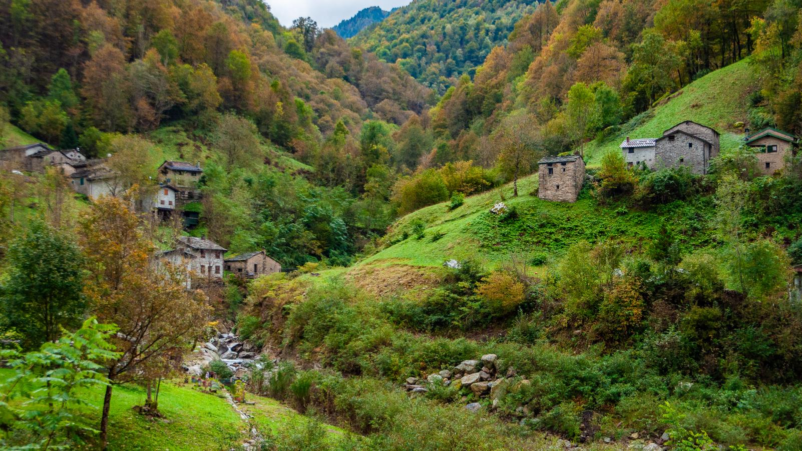 Premana Autumn
