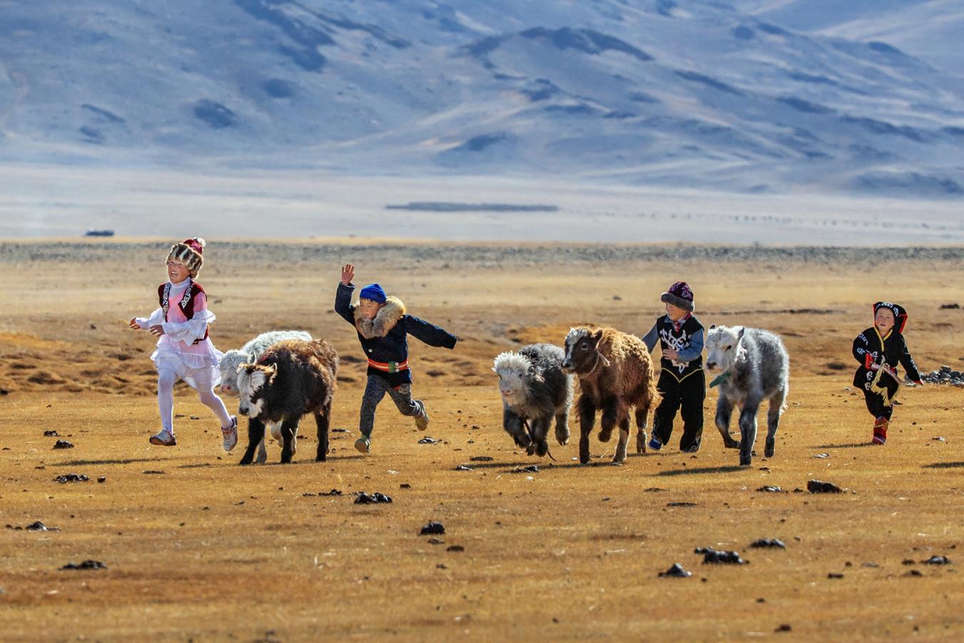 Grassland Kids Grazi...