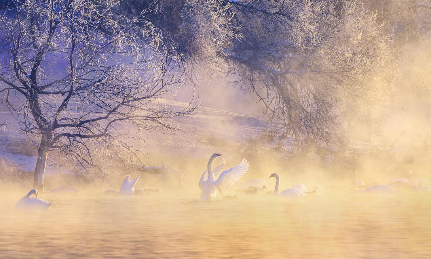 Morning charm