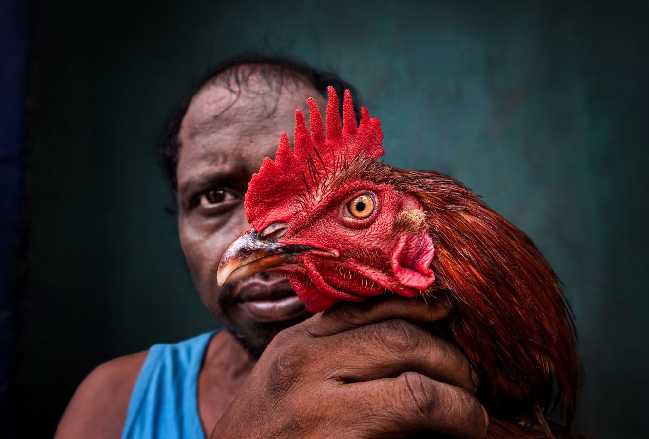 BIRD MAN 8361