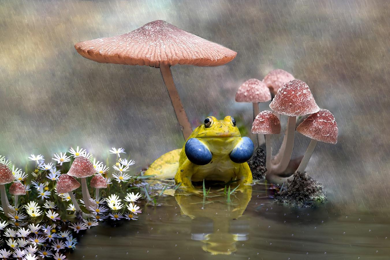 MONSOON WAITING