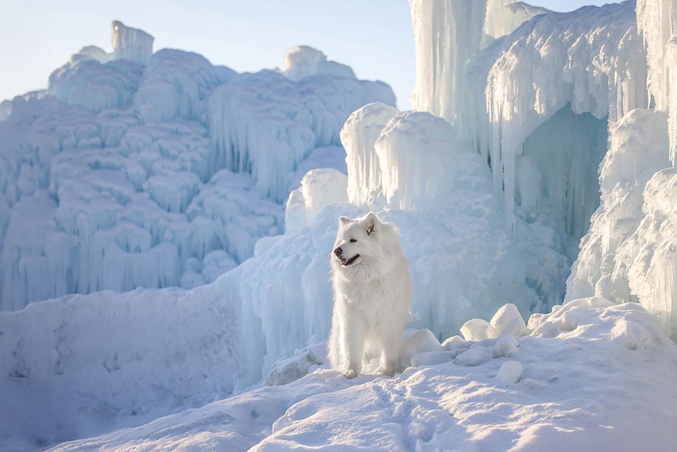 The Kingdom of Ice
